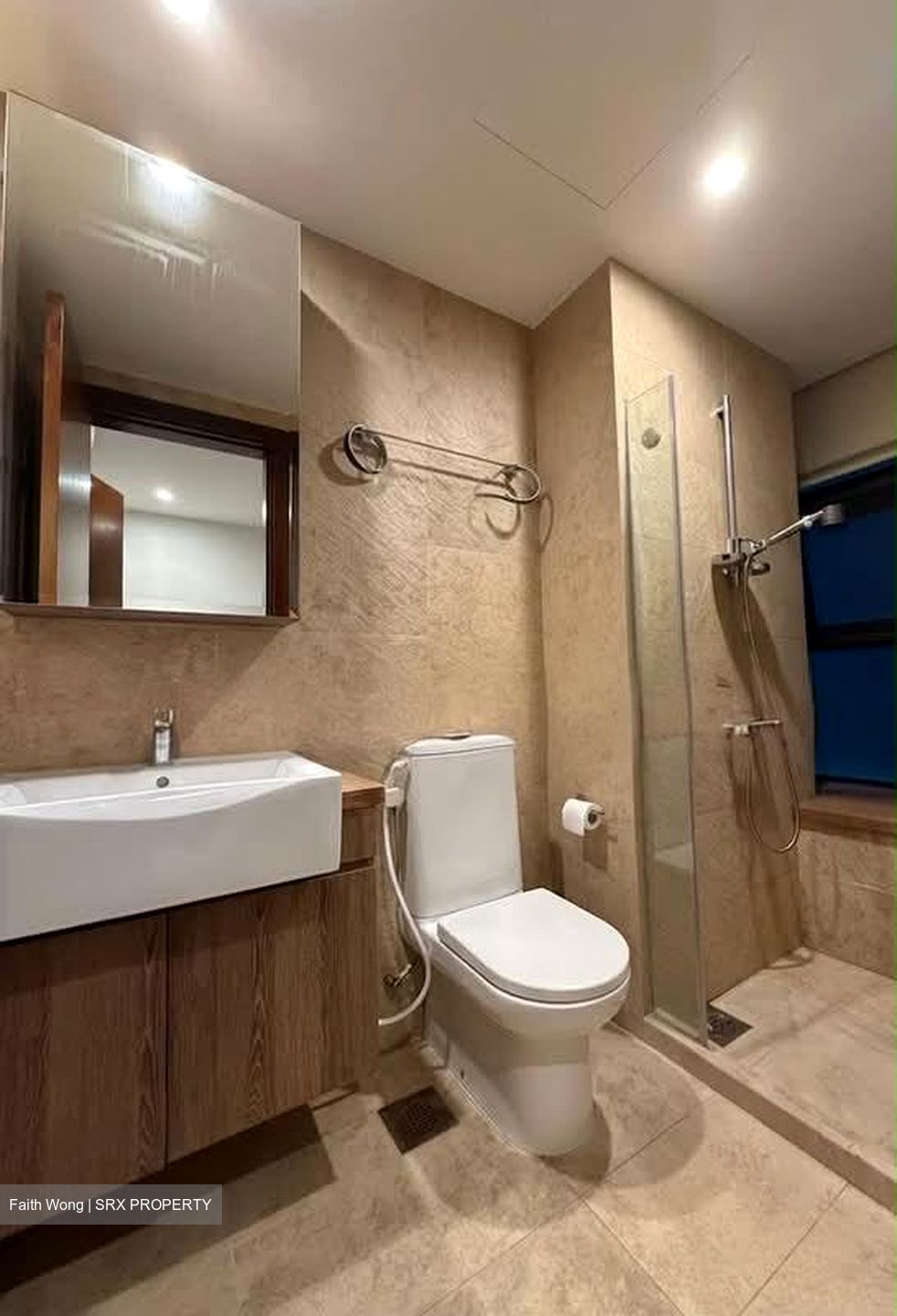 Holland Link (D10), Terrace #585251671